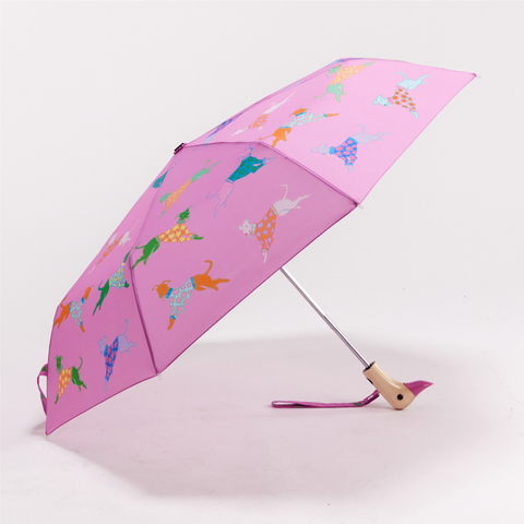 Multipack – Regenschirm mit Entenkopf in Blau und Rosa für Hunde, 6 Stk.