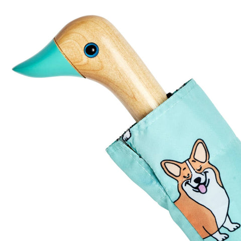 Paraguas Menta de Perro Corgi - Edición Limitada Coucou Suzette