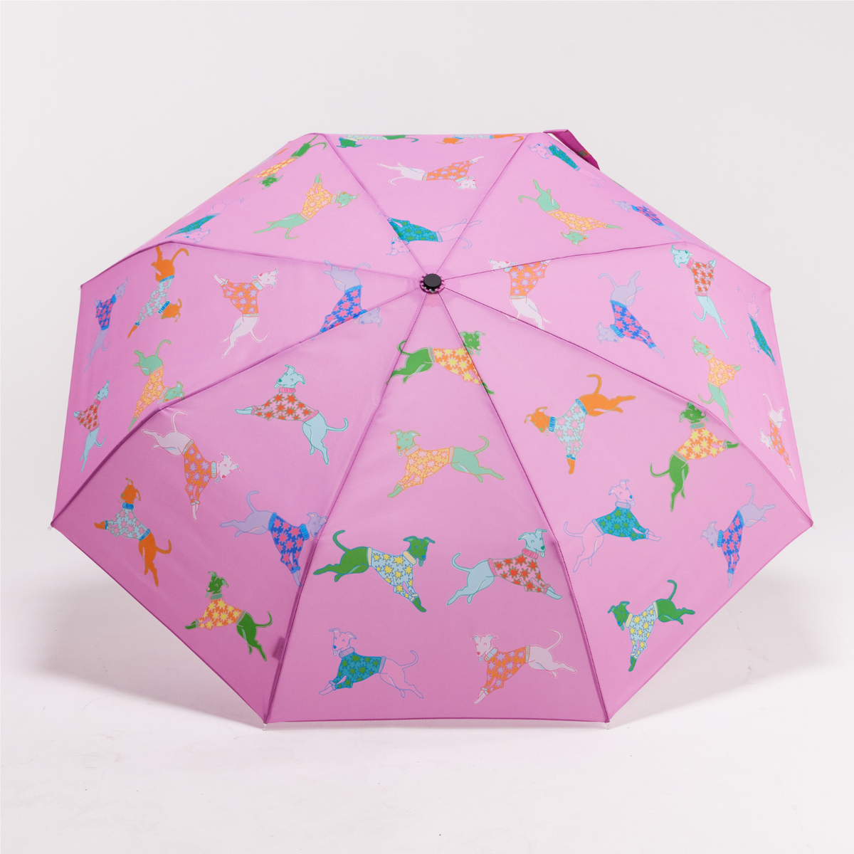 Multipack – Regenschirm mit Entenkopf in Blau und Rosa für Hunde, 6 Stk.
