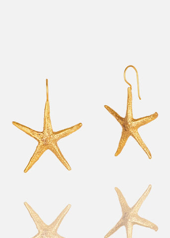 Starfish Earrings