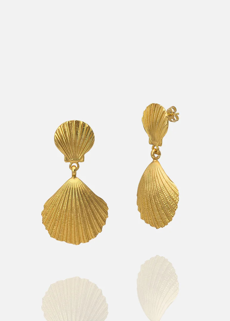 Shell earrings