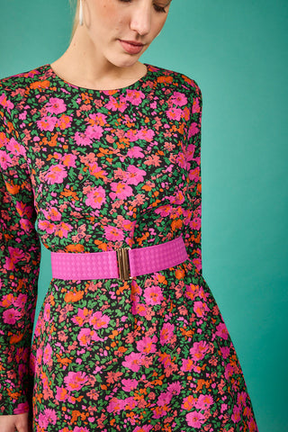 Colored elastic belts