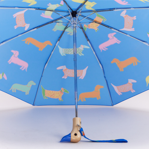 Multipack – Regenschirm mit Entenkopf in Blau und Rosa für Hunde, 6 Stk.