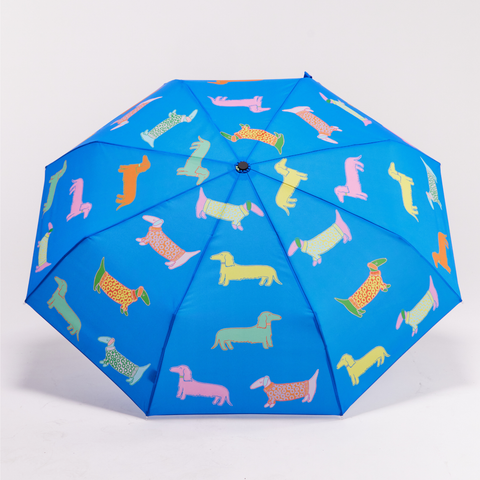 Multipack – Regenschirm mit Entenkopf in Blau und Rosa für Hunde, 6 Stk.