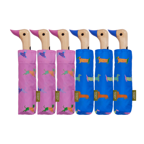 Multipack – Regenschirm mit Entenkopf in Blau und Rosa für Hunde, 6 Stk.