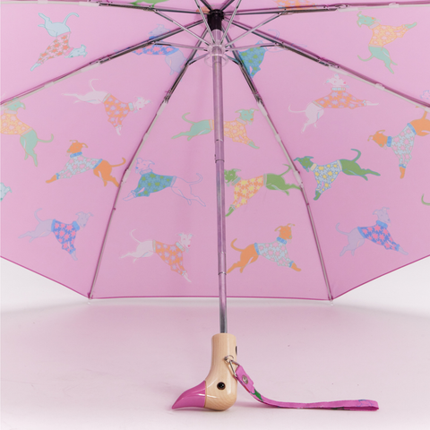 Multipack – Regenschirm mit Entenkopf in Blau und Rosa für Hunde, 6 Stk.