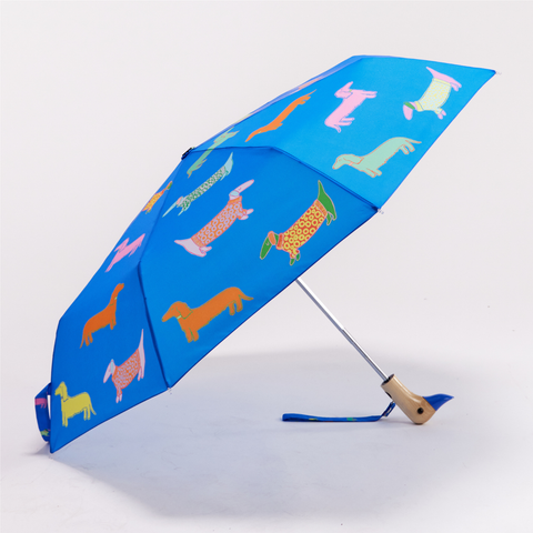 Multipack – Regenschirm mit Entenkopf in Blau und Rosa für Hunde, 6 Stk.