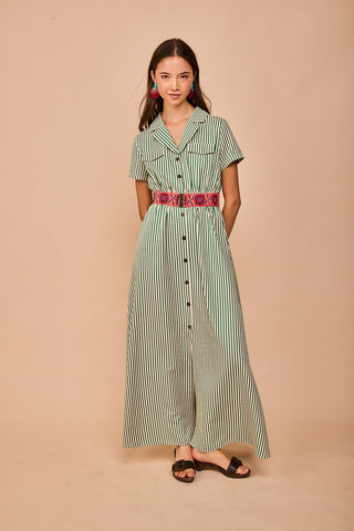 Colored elastic belts